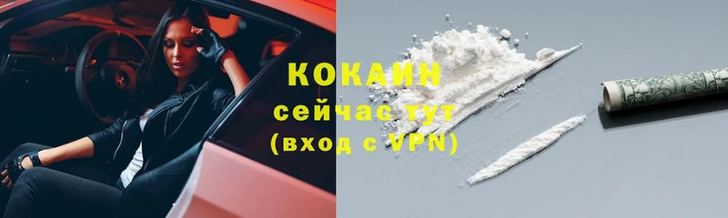 Cocaine FishScale  MEGA tor  Воркута  где найти  