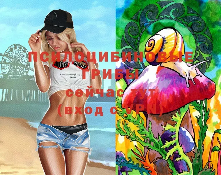 Галлюциногенные грибы Magic Shrooms  Воркута 