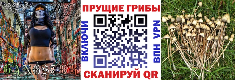 ОМГ ОМГ ссылки  Воркута  Псилоцибиновые грибы прущие грибы  где найти наркотики 