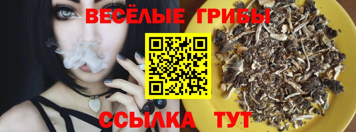 Псилоцибиновые грибы ЛСД Воркута